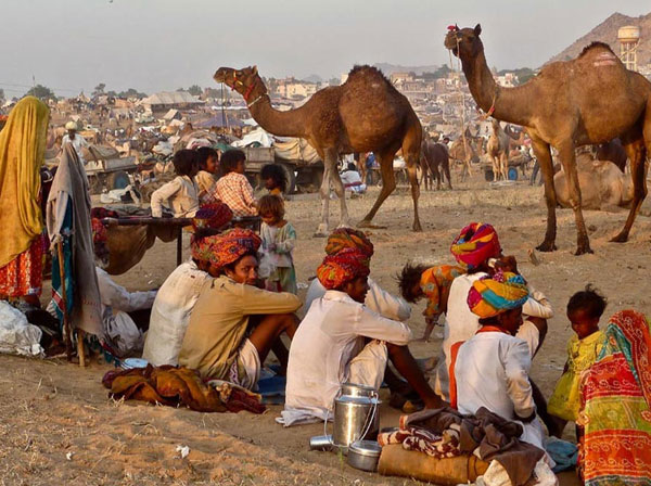 Viaggio India fiera di Pushkar